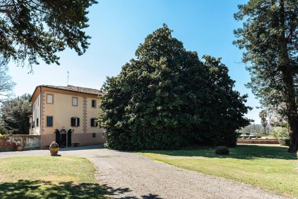 Villa Ott Crespina Exterior photo