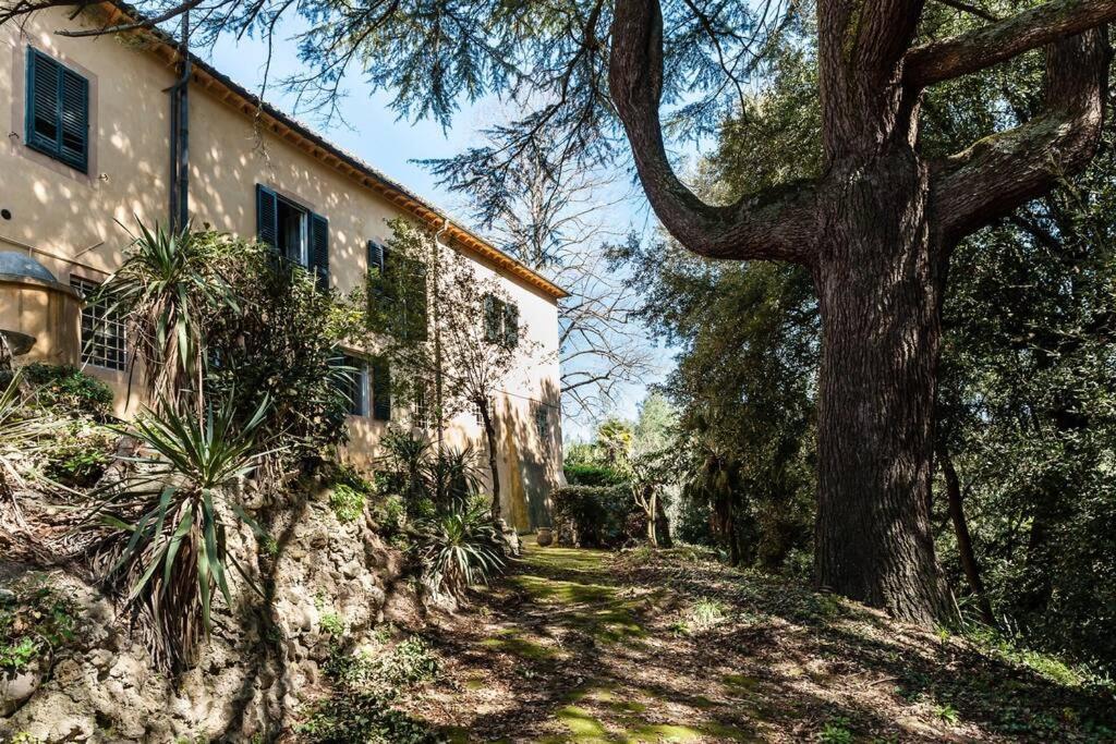 Villa Ott Crespina Exterior photo