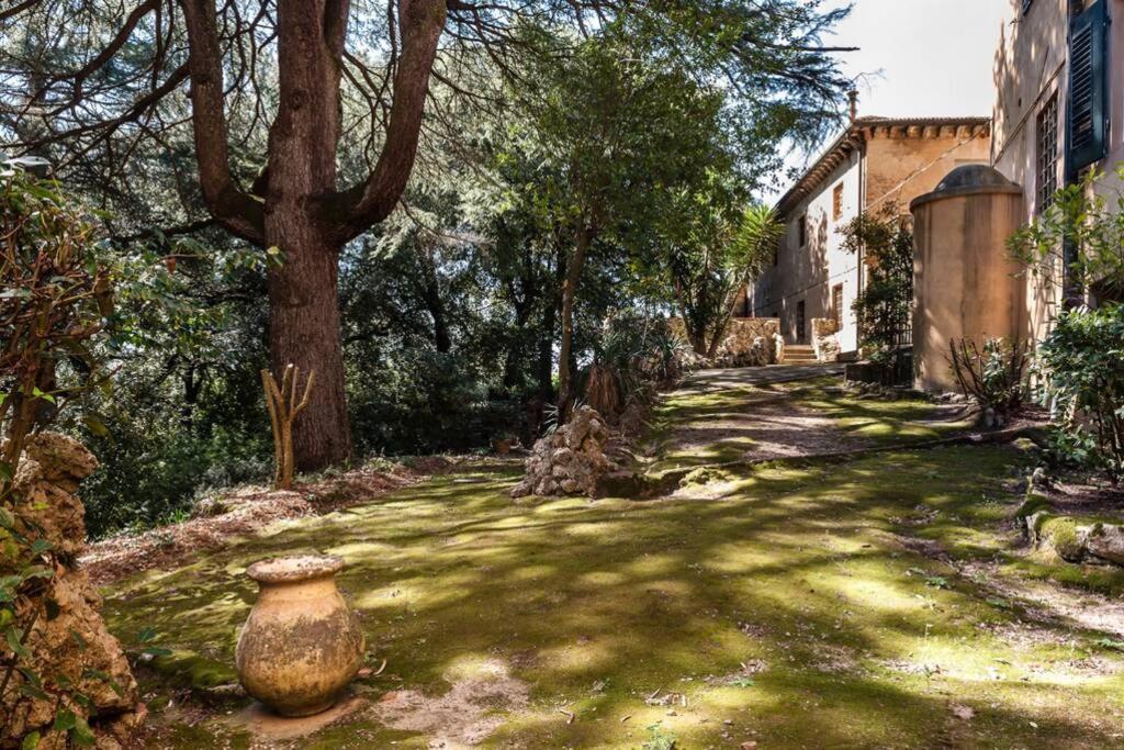 Villa Ott Crespina Exterior photo